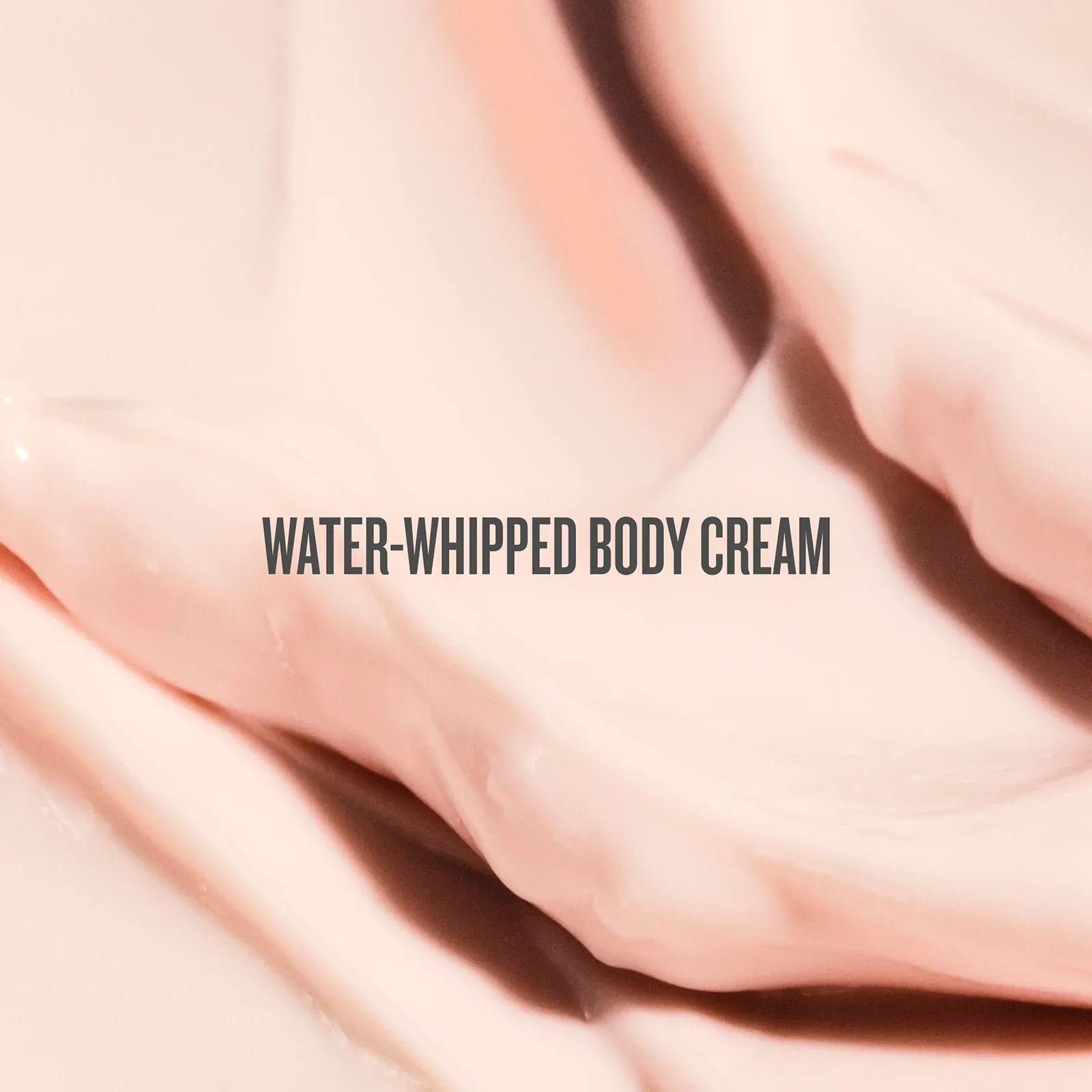 Rosa Charmosa™ Dewy Cream - Image 8